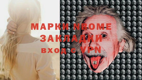 прущие грибы Переславль-Залесский