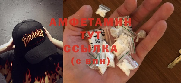 прущие грибы Пересвет