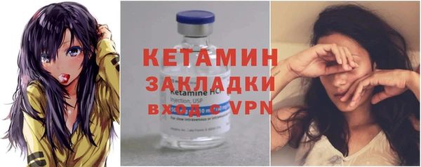 прущие грибы Пересвет