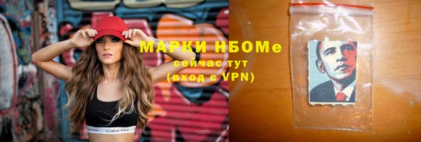 прущие грибы Пересвет