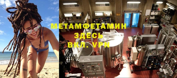прущие грибы Переславль-Залесский