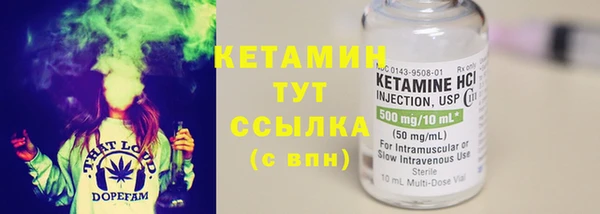 прущие грибы Переславль-Залесский