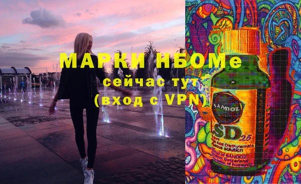 прущие грибы Пересвет