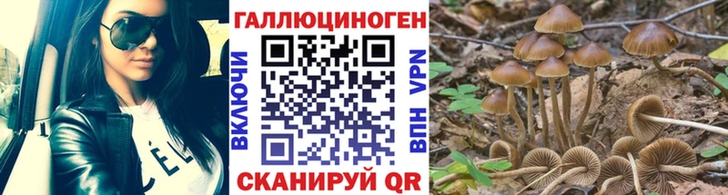 Галлюциногенные грибы Psilocybine cubensis  даркнет сайт  Асбест 