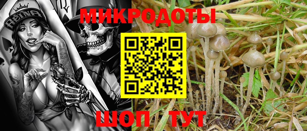 Псилоцибиновые грибы прущие грибы Асбест